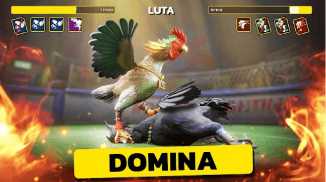 s11 Login Site oficial
